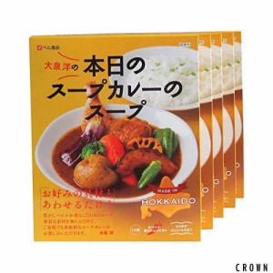 カレー レトルトカレー 大泉洋の本日のスープカレーのスープ 5食 セット アイデアレシピ付き 具材なし