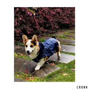 ASMPET ドッグ レインコート ポンチョ 防水 防雪 ペット用品 雨具 中型犬 帽子付 犬用 レインコート 着脱簡単 通気 軽量 犬 レインコート