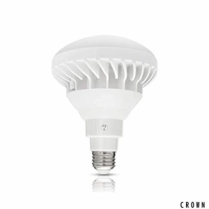 惠成光LED電球 スポットライト E26 LED ビーム電球 200w相当 led PAR38 散光形 IP65防湿 防雨 屋外屋内兼用 LED？球 E26 看板用ライト 防