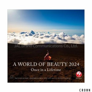 JAL「A WORLD OF BEAUTY」（普通判） 2024年 カレンダー CL24-1132