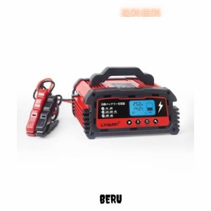 IpowerBingo 自動パルスバッテリー充電器 定格25A [正規品 PSE取得済み] 12V/24V対応 維持充電 緊急時 全自動 スマートチャージャー AGM/