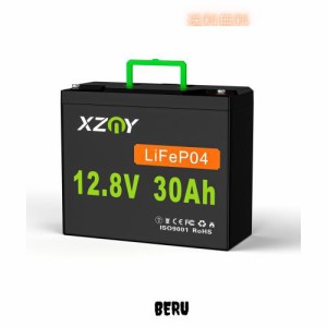 XZNY 12V 30Ah リン酸鉄リチウムイオンバッテリー 充電式バッテリー LiFePO4ディープサイクルバッテリー 5000回以上のサイクル寿命 20A B