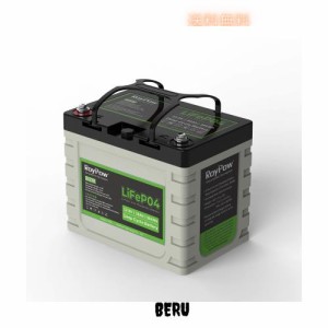 RoyPow 12V 30Ah リン酸鉄リチウムイオンバッテリーLiFePO4 電動リール用バッテリー 3500サイクル BMSバッテリシステム内蔵 子供用スクー