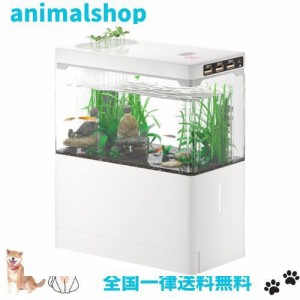 Yjhyuxi 水槽 セット 小型 アクアリウム【インボイス制度登録店】メダカ飼育水槽 フルセット 静音 USB式で省エネ LEDライト付 底部濾過シ