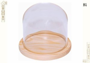 ガラスドーム 透明ガラスドーム 木製ベース ガラスカバー おしゃれガラスドーム ディスプレイケース 小