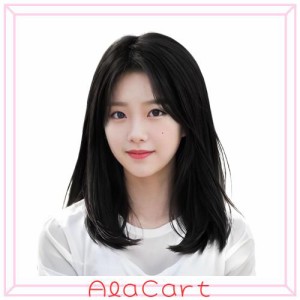 Sofeiyan ウィッグ ミディアム ストレート セミロング 【新・清楚系】 センター分け 自然 小顔 耐熱 かつら 女性 女装 ロリータ コスプ 