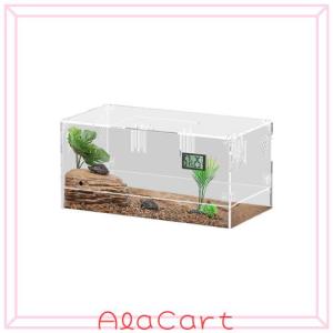 爬虫類飼育セット ヒュドラケース3120 暖突 シェルター等 ヒュドラ