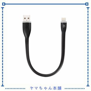 BigBlue 25cm MFi ライトニング USB 充電 ケーブル 急速充電 8Pin アルミコネクタ iPhoneケーブル モバイルバッテリー専用 iPhone iPad 