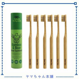 天然毛の竹歯ブラシ（ナイロン不使用）- 完全 100%生分解性 豚毛・竹ハンドル ゼロ ・ウェイスト - 6本セット