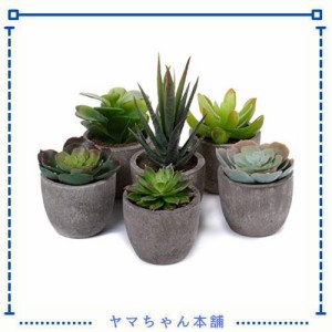 T4U フェイクグリーン 観葉植物 人工観葉植物 人工多肉植物 造花 インテリア ６点入り お世話不要 プレゼント