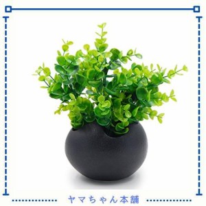 TOSSOW 植木鉢 陶器鉢 卵形 多肉植物 サボテン鉢 ハーブ プランター容器 おしゃれ プレゼント ミニ ブラック