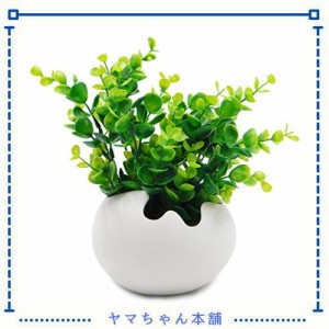 TOSSOW 植木鉢 陶器鉢 卵形 多肉植物、サボテン鉢 ハーブ プランター容器 おしゃれ プレゼント ミニ ホワイト