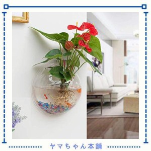 EJG 壁掛け水槽 観葉植物 アクアリウム 花瓶 観賞魚 背面透明２３ｃｍ 植物を栽培する （添付 フィッシングネット＆カラフルな小石クリス