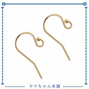 BENECREAT 6個セット14K金箔ピアスフック ゴールドフック パーツ 釣り針 フック式 シンプルアクセサリーパーツ 手芸素材 基礎パーツ ハン