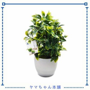 TOSSOW 人工観葉植物 フェイクグリーン 観葉植物 フェイク 造花 ミニ インテリア 贈り物