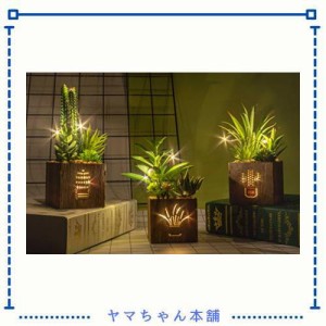 人工多肉植物 人工観葉植物三種セット 木箱にLEDライト付き 人工多肉植物 プラスチック製トピアリー 家庭・オフィス飾り用 テーブル装花 