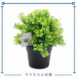 TOSSOW 人工観葉植物 フェイクグリーン 観葉植物 フェイク 造花 ミニ インテリア 小さいユーカリ