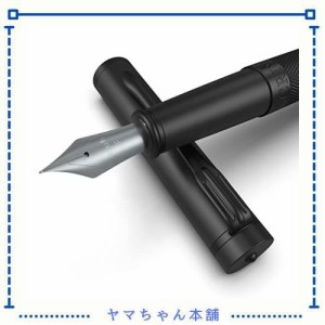 SCRIVI PENS 万年筆セット [細字ペン先] アーティストリーコレクション ギフトケース インクカートリッジ2個 インク詰め替えコンバーター