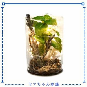 SUNAVI観葉植物 本物とそっくり!ミニ インテリアグリーン消臭 脱臭 空気清浄 枯れない 人工観葉植物 【日本製光触媒】 グリーン ライト付