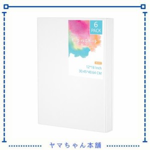 キャンバス キャンバスボード F6 304x406mm 6枚/セット ボールドキャンバス 張りキャンバス 絵画ボード アクリル絵の具 油絵 絵画 中目 