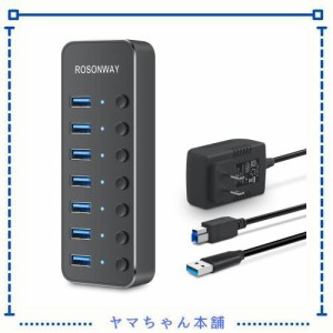 ROSONWAY USBハブ 3.0 電源付き 7ポート USB Hub アルミ製 5Gbps高速転送 セルフパワーとバスパワー両用 5V 電源 独立スイッチ付き