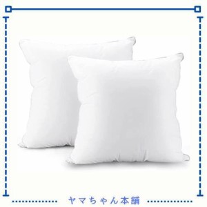 【2022年 詰め物10％増量】 クッション AIDUCHO ヌードクッション 45×45cm 2個セット 首枕 中身 高反発 抱き枕 カバーコットン100％ 肌