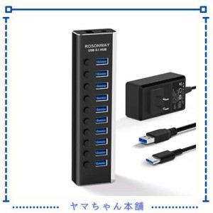 ROSONWAY USB ハブ 3.1 Gen2 10Gbps 10ポートアルミ製 36W USB HUB セルフパワー USBケーブルとType Cケーブル 付き 12V/3A ACアダプタ 