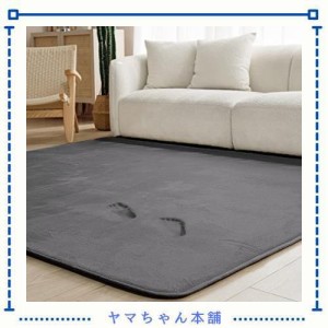 Vamcheer ラグ カーペット 低反発ラグ 極厚25mm ラグマット 135x185cm 約1.5畳 防ダニ 抗菌防臭 滑り止め付き 厚手 防音 撥水加工 フラン