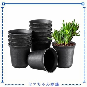 VANZACK プラ鉢 小 ミ二植木鉢 多肉植物 鉢 プラスチック ポット 植木鉢 プラスチック【 6.5cm 黒 12個セット 】