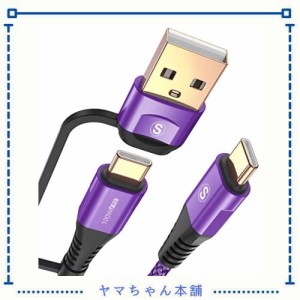 2in1 USB Type C ケーブル 2M,AviBrex USB-A/USB-C to USB-C ケーブル【100W/5A PD＆ QC4.0対応 急速充電】 タイプc 充電ケーブル MacBoo