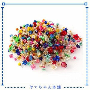 Itisyou ドライフラワー レジン用 レジン ドライフラワー 小花 ドライフラワー 押し花 スターフラワー 200個入り