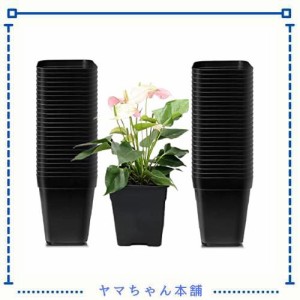 Toodall 植木鉢 プラスチック製 50個入り 多肉植物 サボテン鉢 育苗ポット フラワーポット 軽量 ガーデン用品