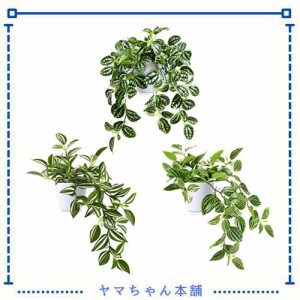 MOSADE フェイクグリーン 光触媒 3点セット 人工観葉植物【スイカペペ+ハカタカラクサ+ペペロミアプテオラータ】ミニ インテリアグリーン