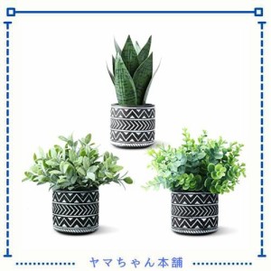 MOSADE フェイクグリーン 光触媒 3点セット 人工観葉植物【セージ+サンスベリア+ユーカリ】ミニ インテリアグリーン 小さい 造花 卓上 世