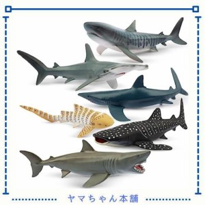 TOYMANY 動物フィギュア 6PCSサメフィギュア 海洋動物フィギュアセット 12cm〜14cm 生物 魚類 海の生き物 リアルな動物模型 サメ好き 人