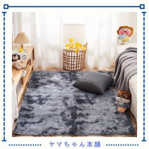 Topfinel カーペット 2畳 160x200cm 濃いグレー 滑り止め ペット 極厚 カーペット クリーナー 付き 防音カーペット ラグ カーペット 通年