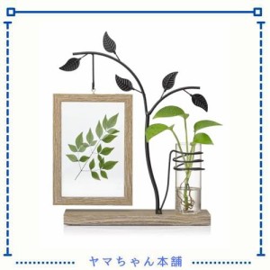 Afuly 写真立て はがき フォトフレーム かわいい 写真たて 2面 植物栽培可 木製 スタンド式 誕生日 記念日 プレゼント 贈り物 バレンタイ