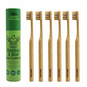 天然毛の竹歯ブラシ（ナイロン不使用）- 完全 100%生分解性 豚毛・竹ハンドル ゼロ ・ウェイスト - 6本セット
