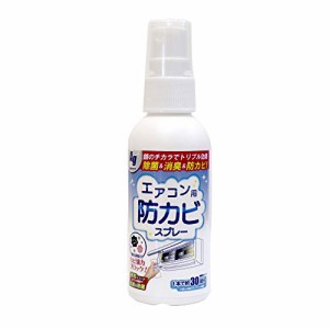 エアコン 掃除 スプレー エアコン用 防カビスプレー Ag 銀イオン配合 60mL(約30台分) エアコン洗浄スプレー 加湿器 除菌 消臭 防カビ剤 