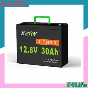 XZNY 12V 30Ah リン酸鉄リチウムイオンバッテリー 充電式バッテリー LiFePO4ディープサイクルバッテリー 5000回以上のサイクル寿命 20A B