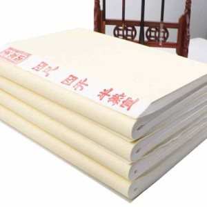 100枚の空白の中国の書道のライスペーパーの半生熟の宣紙 (34x69cm)