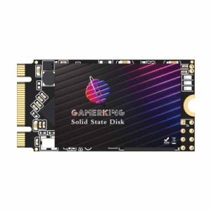 Gamerking SSD New (128GB, M.2 2242)