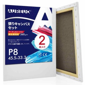 AUREUO 張りキャンバス セット P型 中目 綿化繊混紡 初心者 絵画用具 芸術絵創作 現代油絵 美術装飾 水彩画・油絵画・アクリル兼用…… (