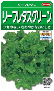 サカタのタネ 実咲野菜3673 リーフレタスグリーン リーフレタス 00923673