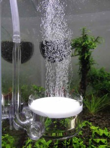 ディフューザー CO2拡散器・ビートル風 ガラス製 (直径５センチ - 120〜180cmサイズの水槽用)