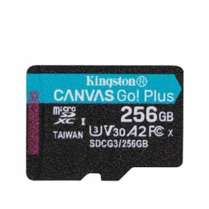 Kingston SDCG3 series (256GB, 単品)