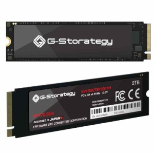 FFF-SSD-PARENT01 (M.2/ 銅熱伝導シート / 2TB)