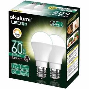 LED電球 E17 40形 60形 調光器対応 2個セット【適格請求書発行可】 (昼白色 5000k)