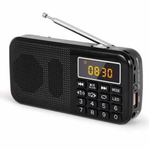 PRUNUS J725 RADIO (？)