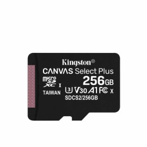 キングストン microSD (4) 256GB)